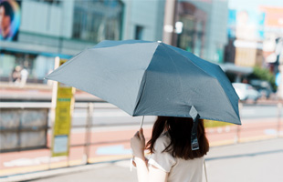 渋谷の気候とは？四季の特徴と変化について