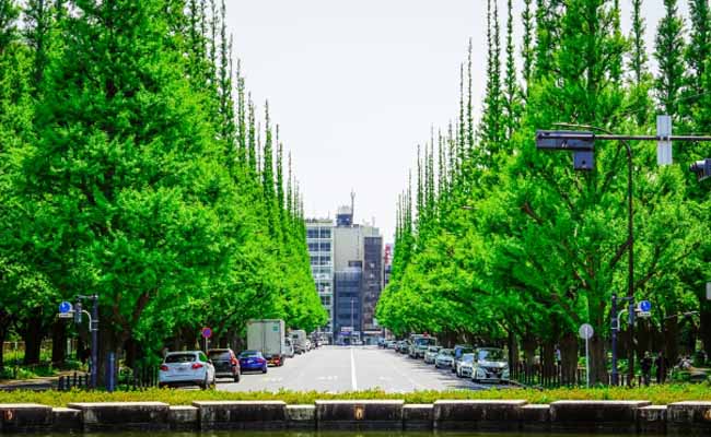 渋谷の魅力とイベント