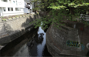 渋谷川の魅力と訪れる人々への意義