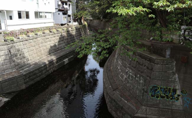 渋谷の魅力溢れる川沿いの公園と桜並木