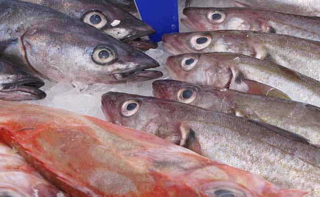 渋谷の海産物食堂