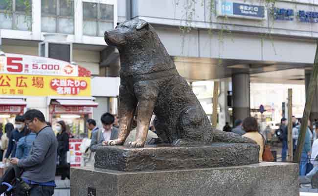 渋谷の魅力と代表的なスポット